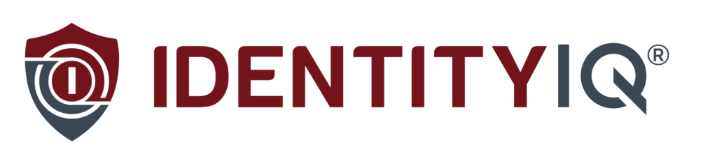 IdentityIQ Logo Version 1